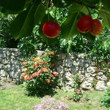 Guest house Sanja Mostar