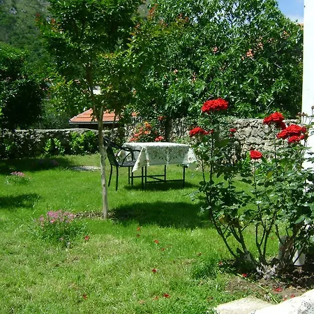 Guest house Sanja